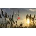伤感励志6310
