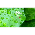 伤感励志6328