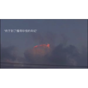 伤感励志6386