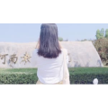 伤感励志6390