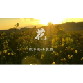伤感励志6392