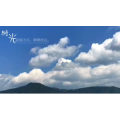 伤感励志6446