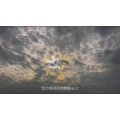 伤感励志6452