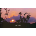 伤感励志6506