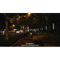 伤感励志6520