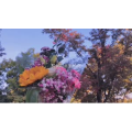 伤感励志6548