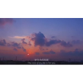 伤感励志6566
