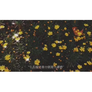伤感励志6594