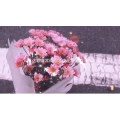 伤感励志6608