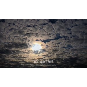 伤感励志6614