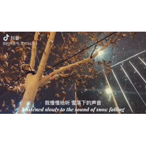 伤感励志6626