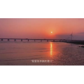 伤感励志6646