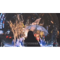 伤感励志6666