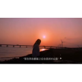 伤感励志6686