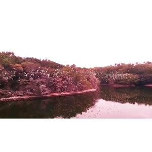 伤感励志6692