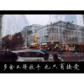 伤感励志6894