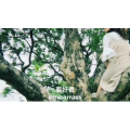伤感励志6896