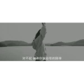 伤感励志6900