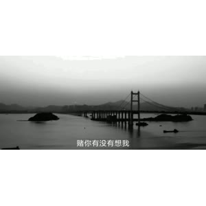 伤感励志6950