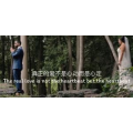 伤感励志6964