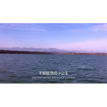 伤感励志6996