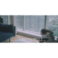 伤感励志7040