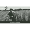 伤感励志7070