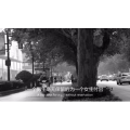 伤感励志7178