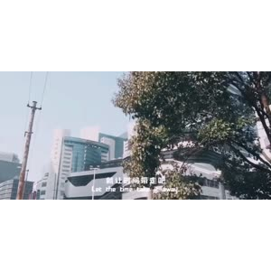 伤感励志7218