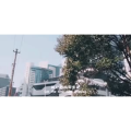 伤感励志7218