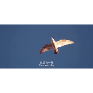 伤感励志7244