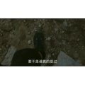 伤感励志7306