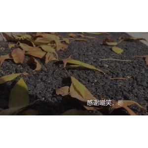 伤感励志7348