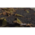 伤感励志7348