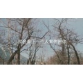 伤感励志7354
