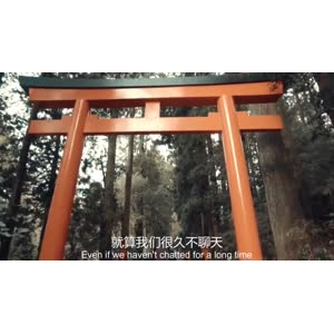 伤感励志7508