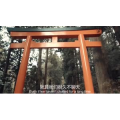 伤感励志7508