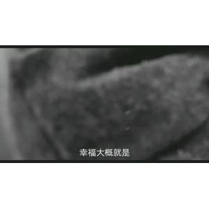 伤感励志7598
