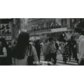 伤感励志7668
