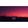 伤感励志7704