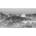 伤感励志7762