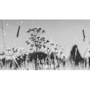 伤感励志7770