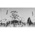 伤感励志7770