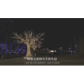 伤感励志7800