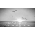 伤感励志7856