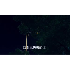 伤感励志7904