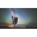 伤感励志7932