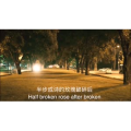 伤感励志8010