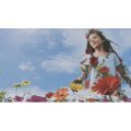 伤感励志8048