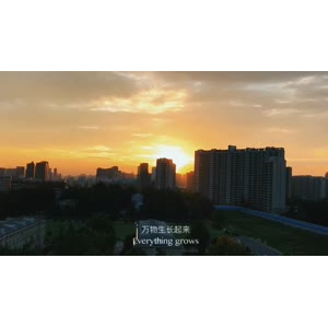 伤感励志8070